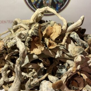 50g PSYCHEDELIC SHROOMS ☆ 2 strains available ☆